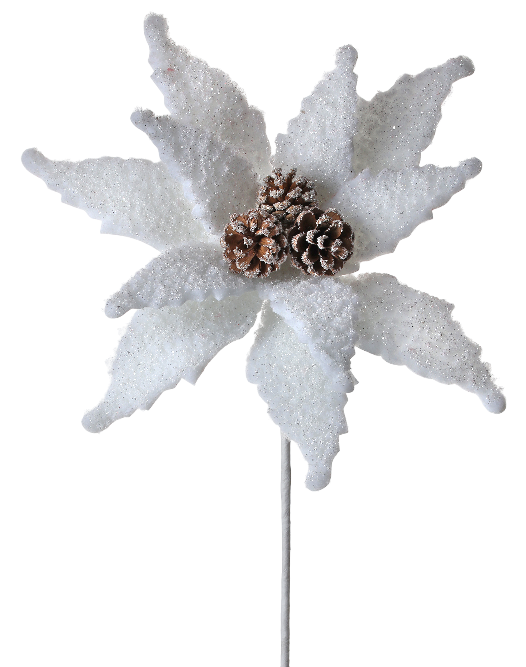 White Fluffy Snow Poinsettia - The Sandy Santa
