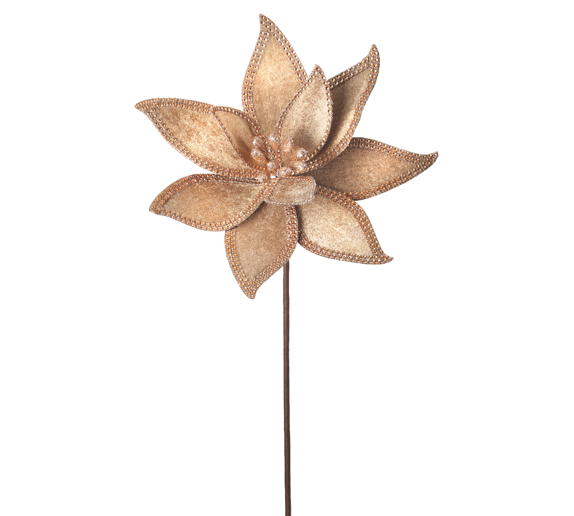Champagne Jeweled Edge Poinsettia Stem - The Sandy Santa