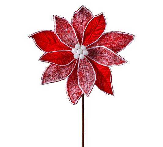 Frosted Red Velvet Poinsettia - The Sandy Santa