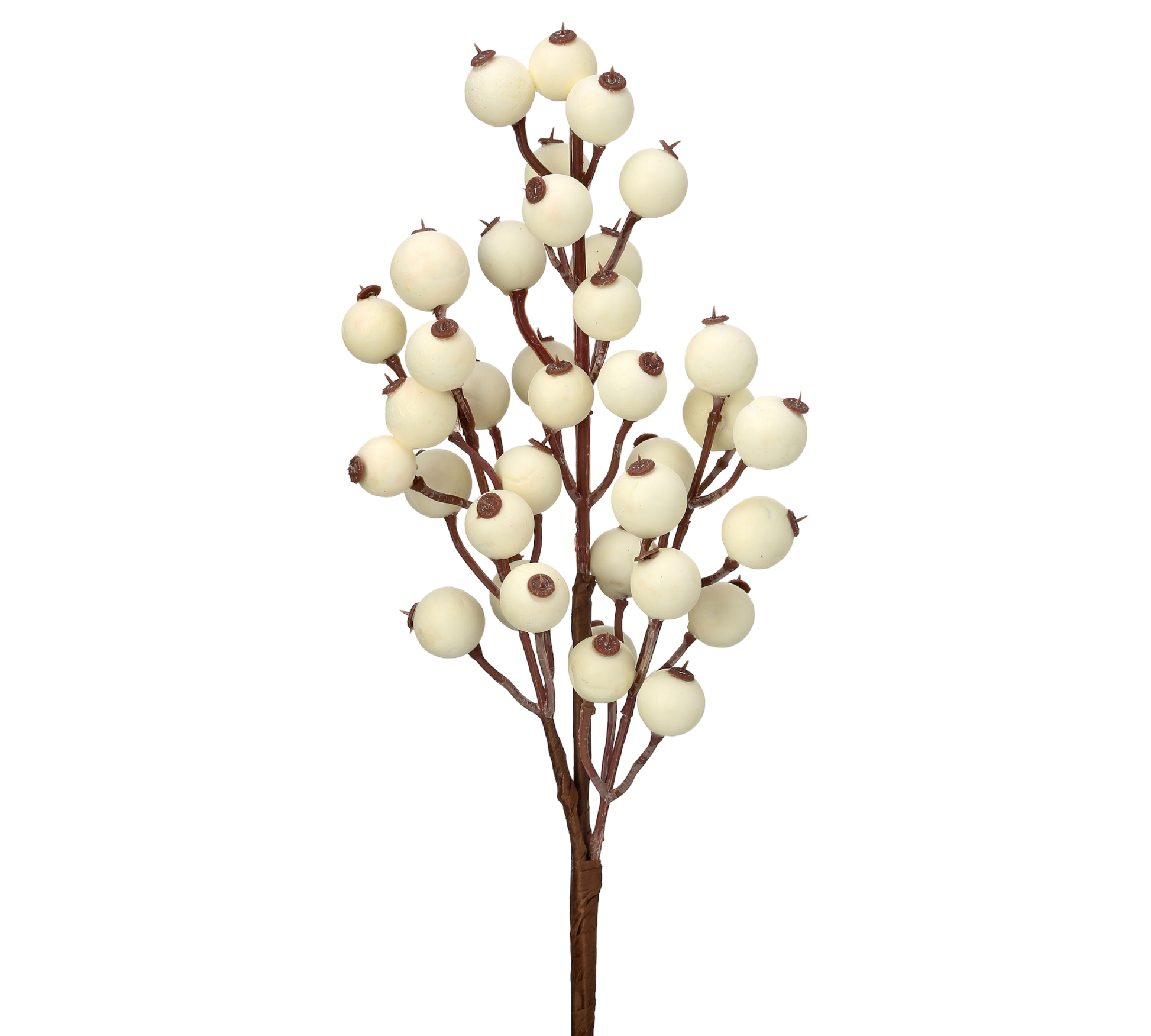 Cream Berry Pick - The Sandy Santa