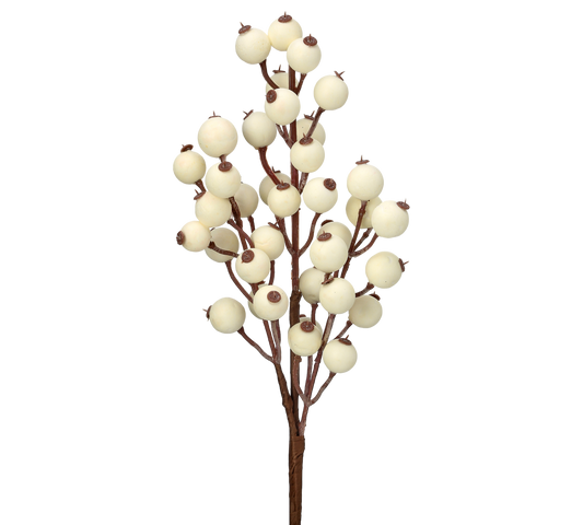 Cream Berry Pick - The Sandy Santa