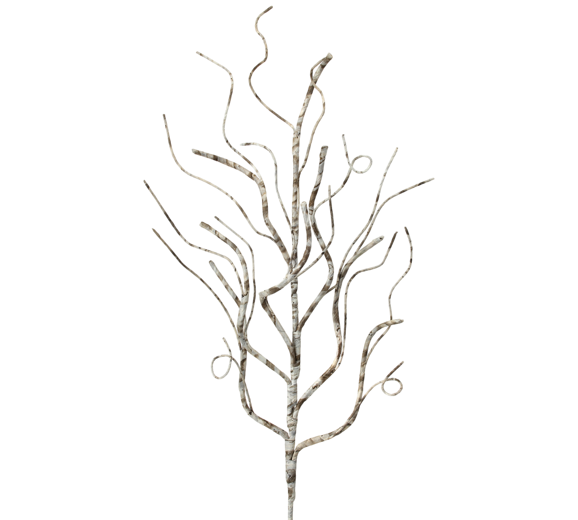 Frosted Birch Wrapped Branch - The Sandy Santa