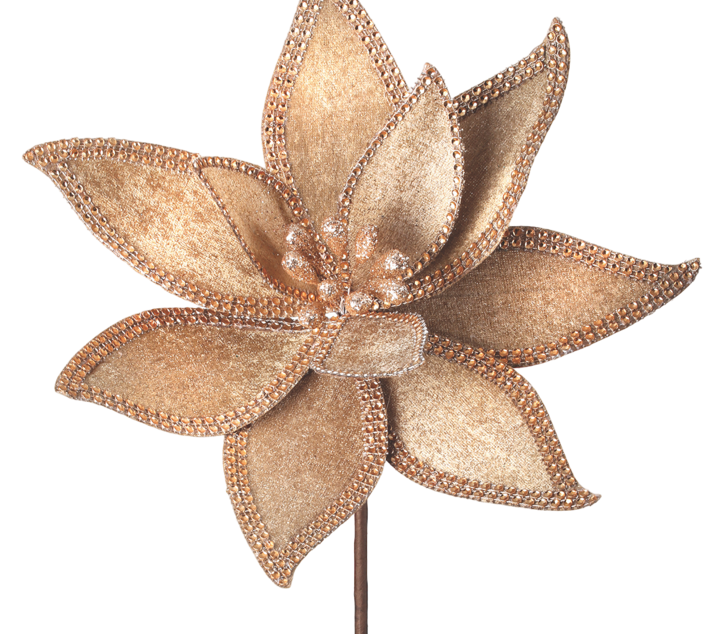 Champagne Jeweled Edge Poinsettia Stem - The Sandy Santa