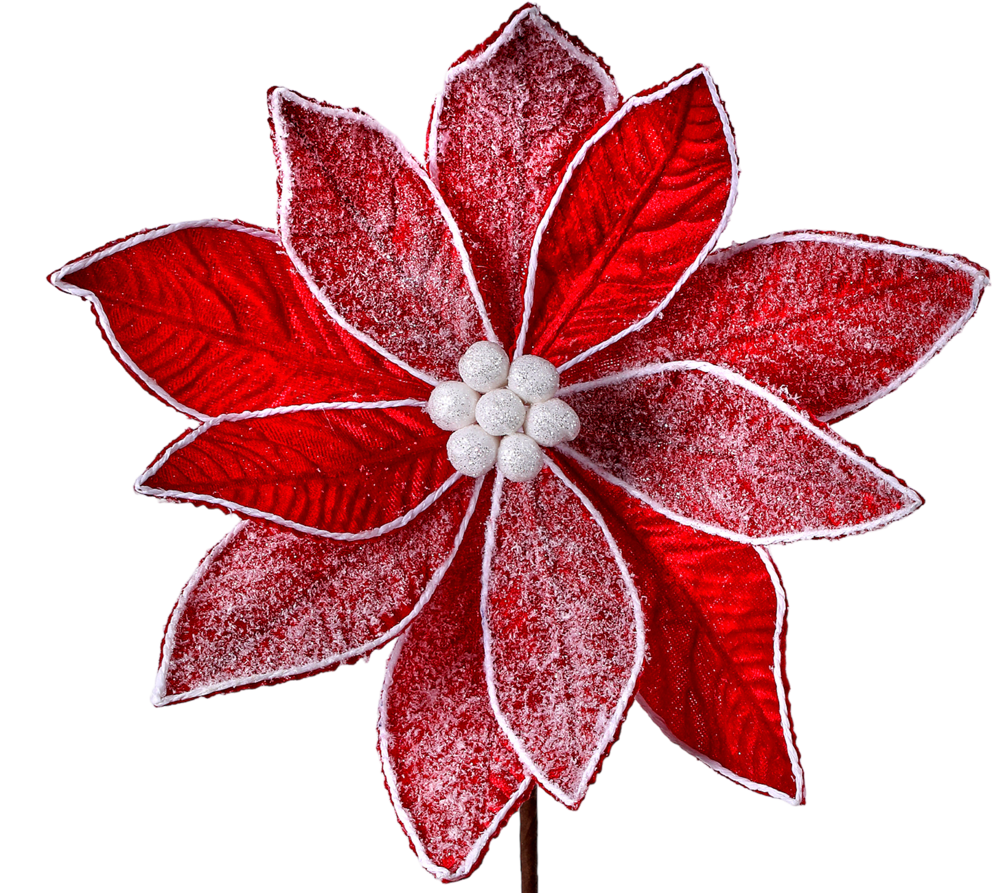 Frosted Red Velvet Poinsettia - The Sandy Santa
