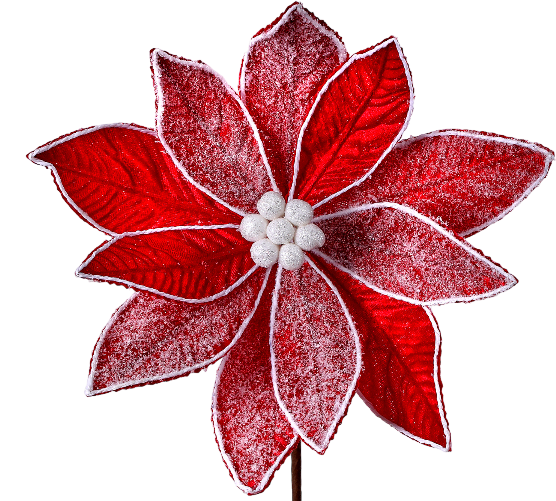 Frosted Red Velvet Poinsettia - The Sandy Santa