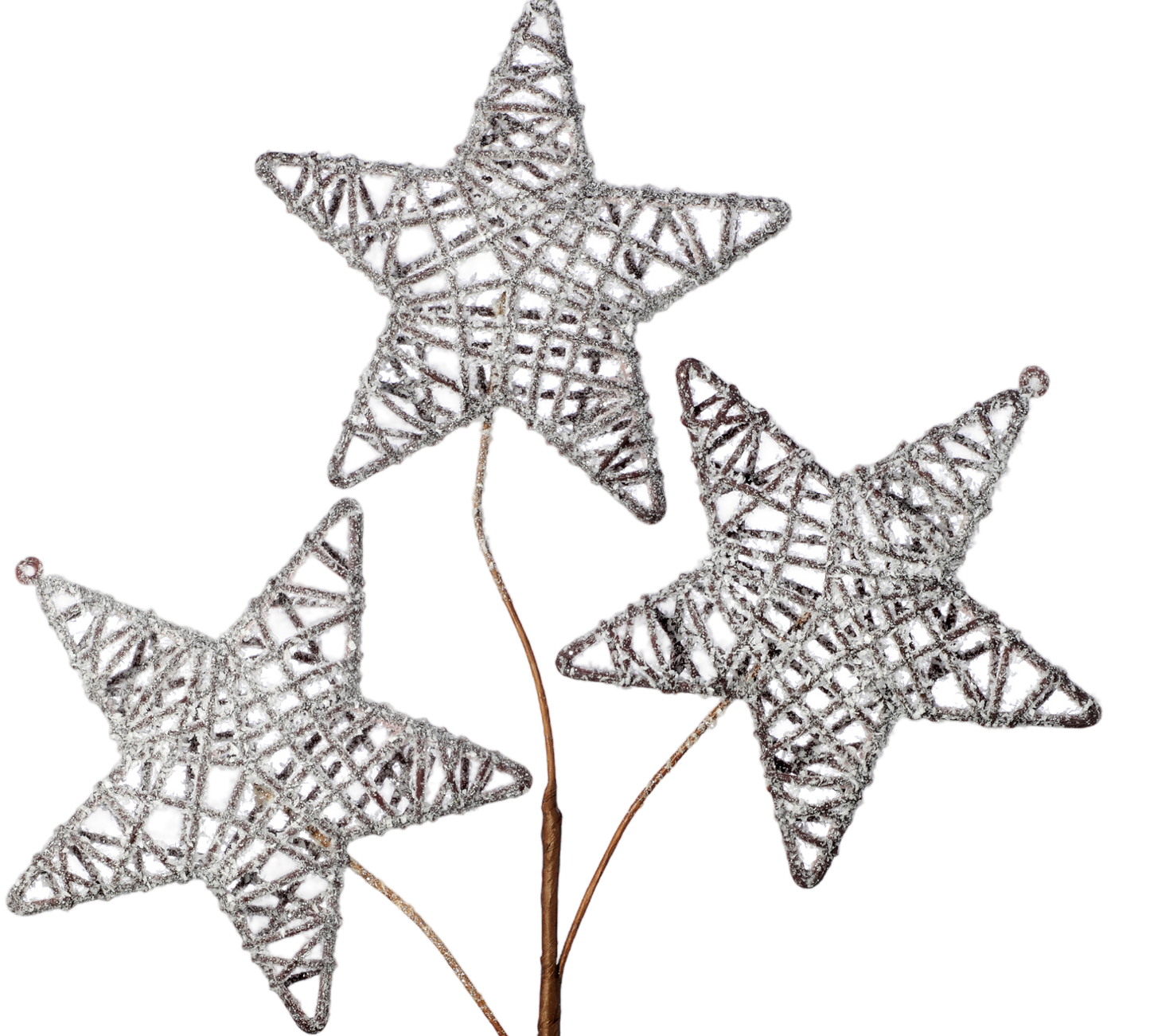 Frosted Triple Twig Star Spray - The Sandy Santa