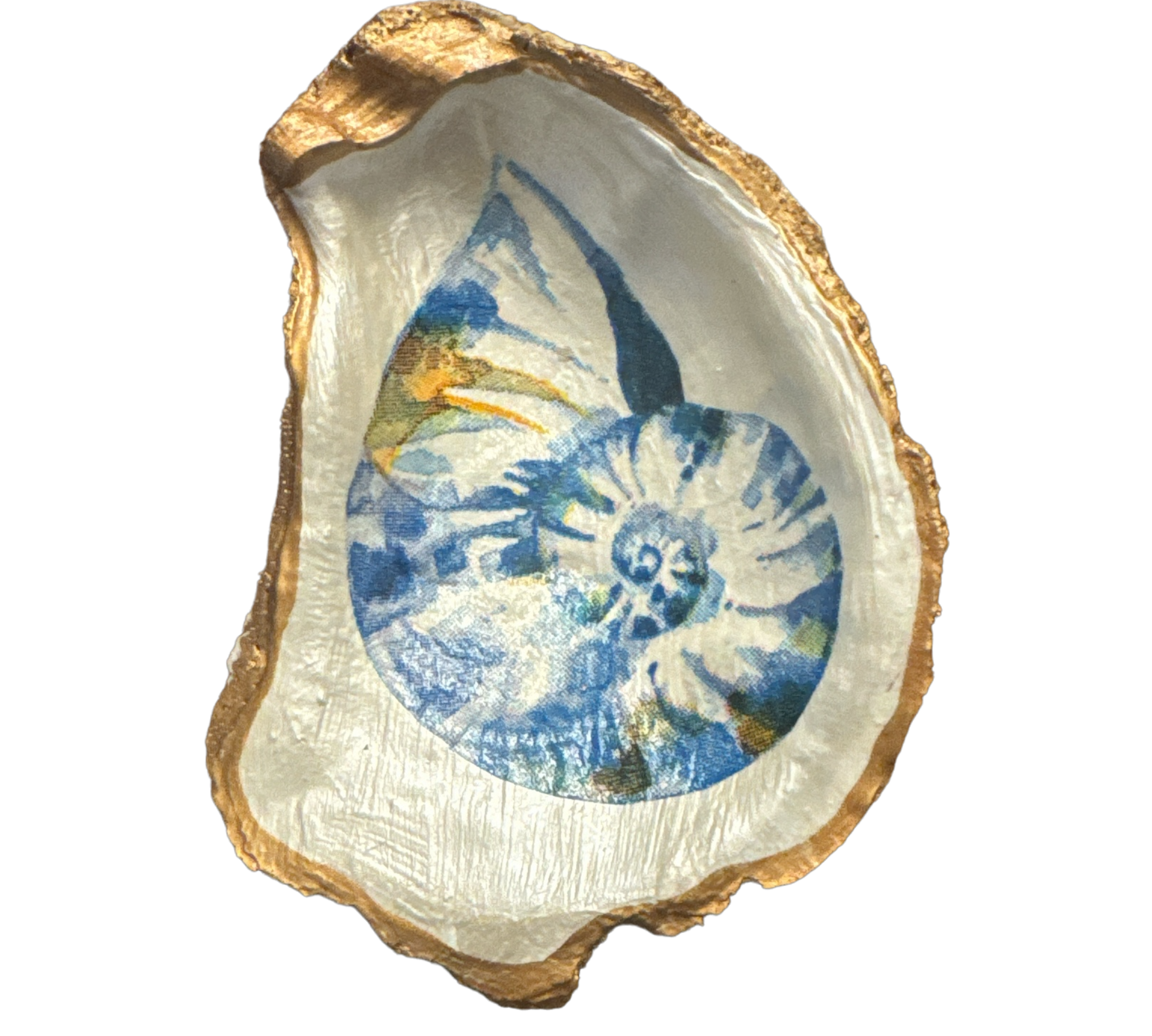 Nautilus Dish - Small - The Sandy Santa
