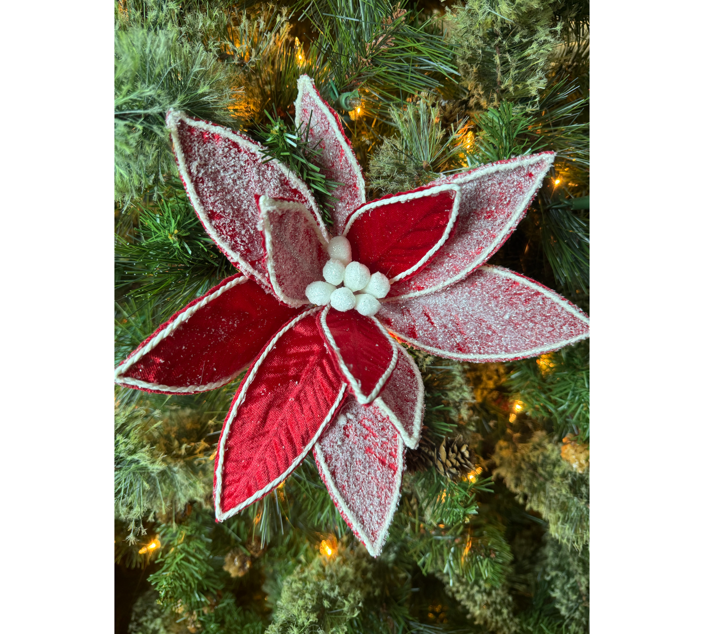 Frosted Red Velvet Poinsettia - The Sandy Santa