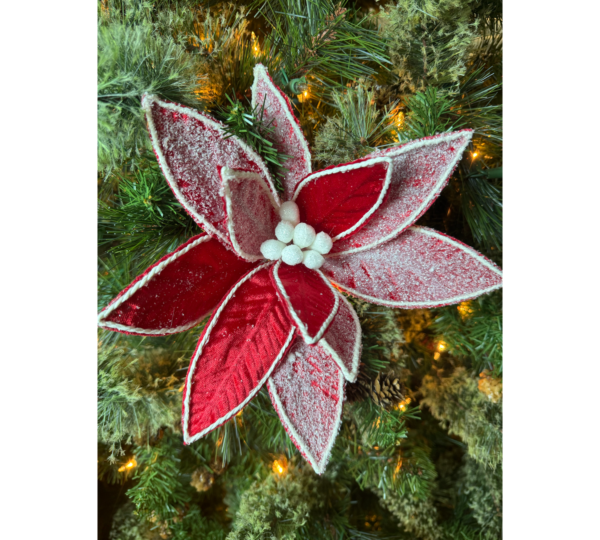 Frosted Red Velvet Poinsettia - The Sandy Santa