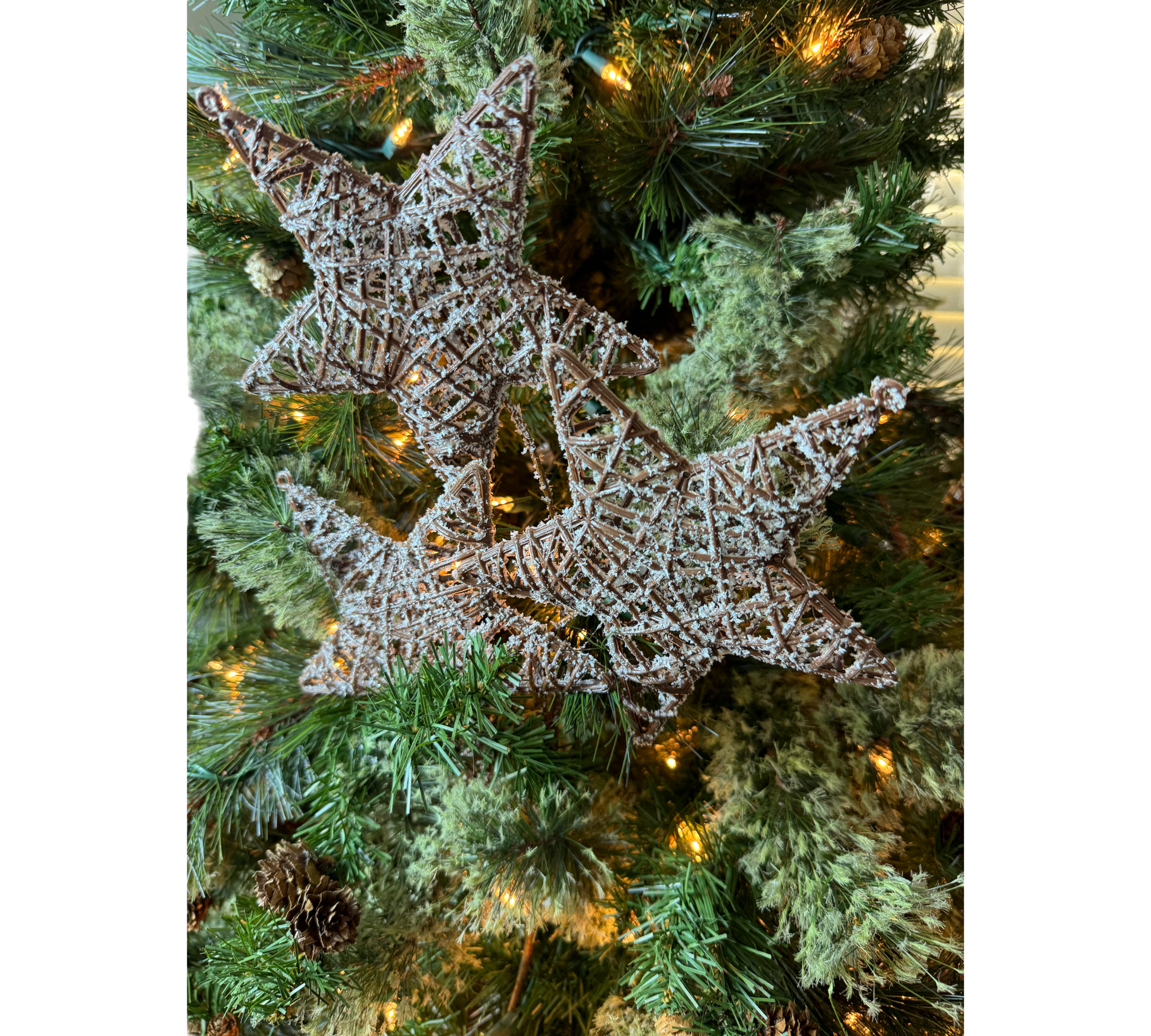 Frosted Triple Twig Star Spray - The Sandy Santa