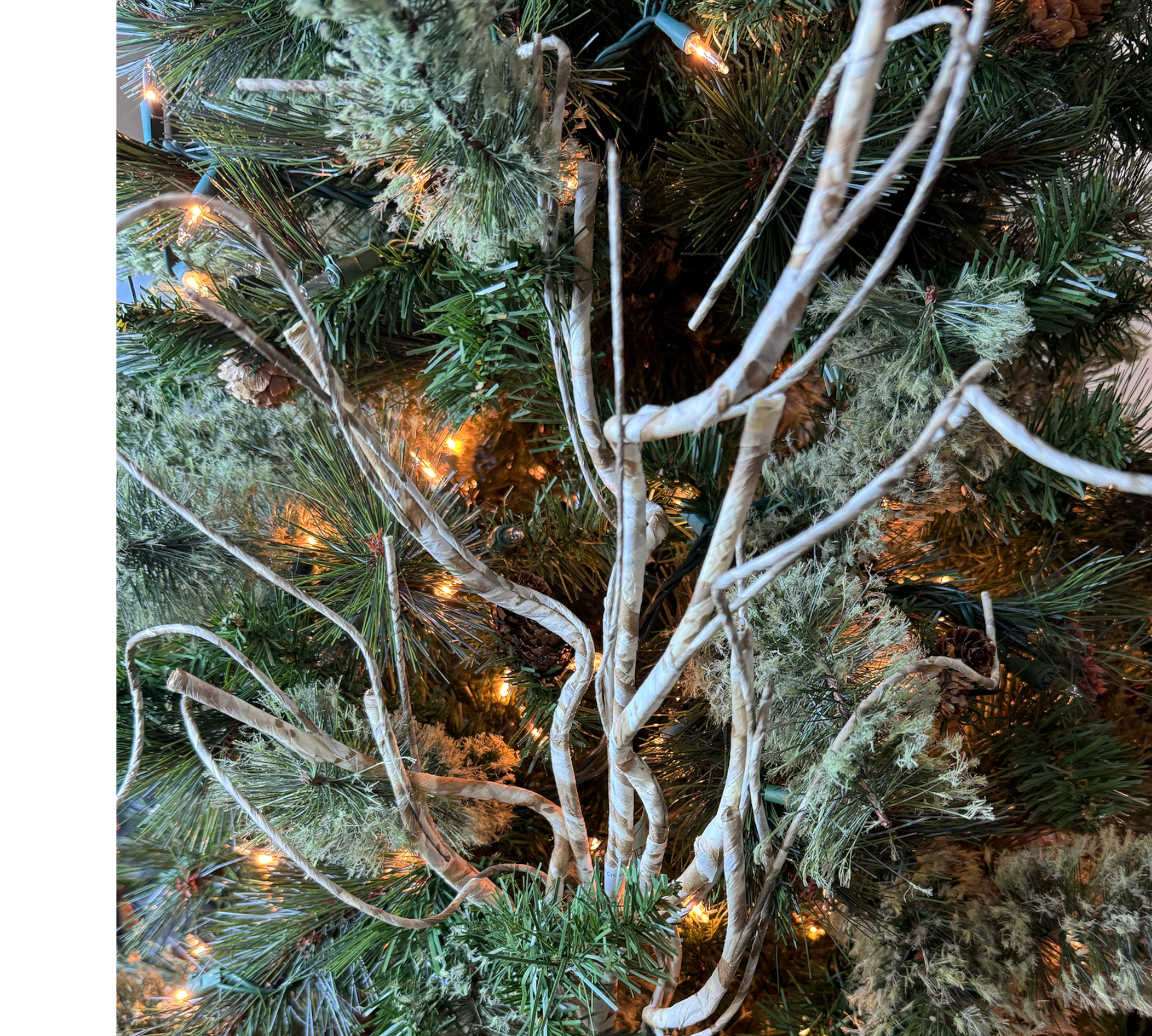 Frosted Birch Wrapped Branch - The Sandy Santa