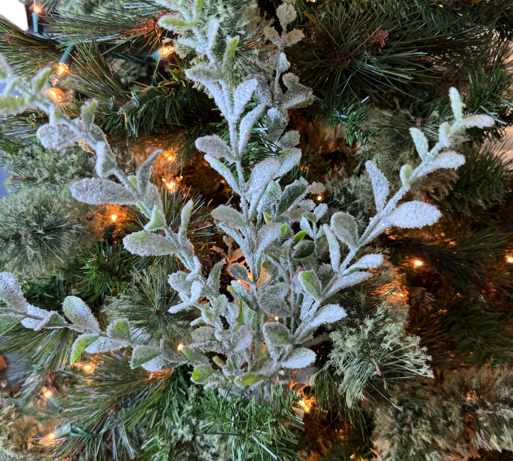 Snowy Boxwood Spray - The Sandy Santa