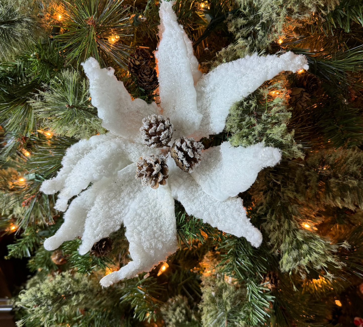 White Fluffy Snow Poinsettia