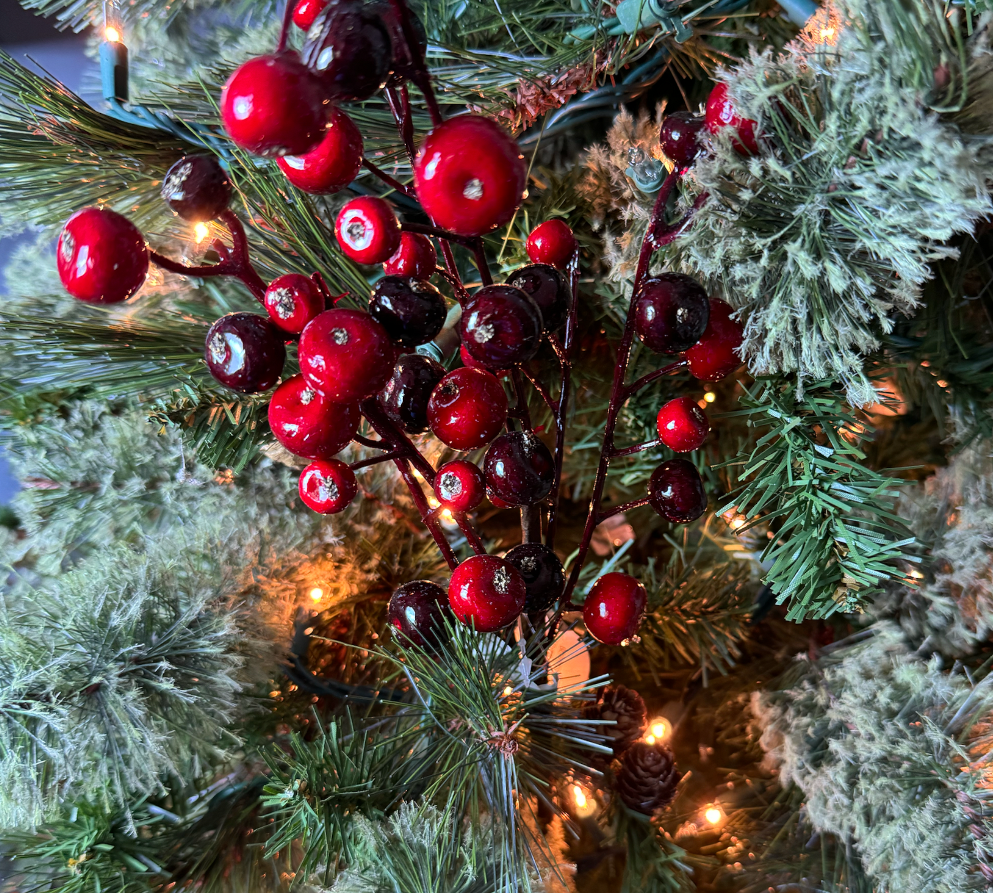 Cranberry Pick - The Sandy Santa