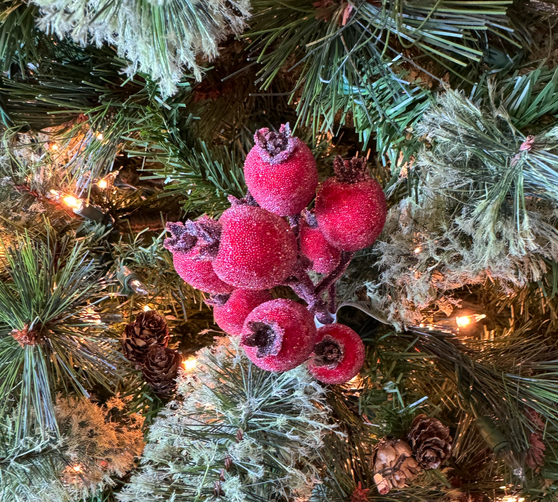 Frosted Beaded Crabapple Pick - The Sandy Santa