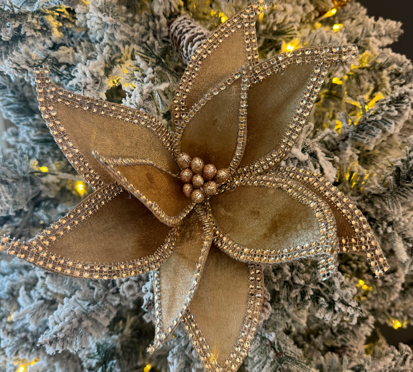 Champagne Jeweled Edge Poinsettia Stem - The Sandy Santa