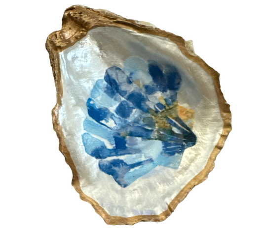 Scallop Dish - Small - The Sandy Santa