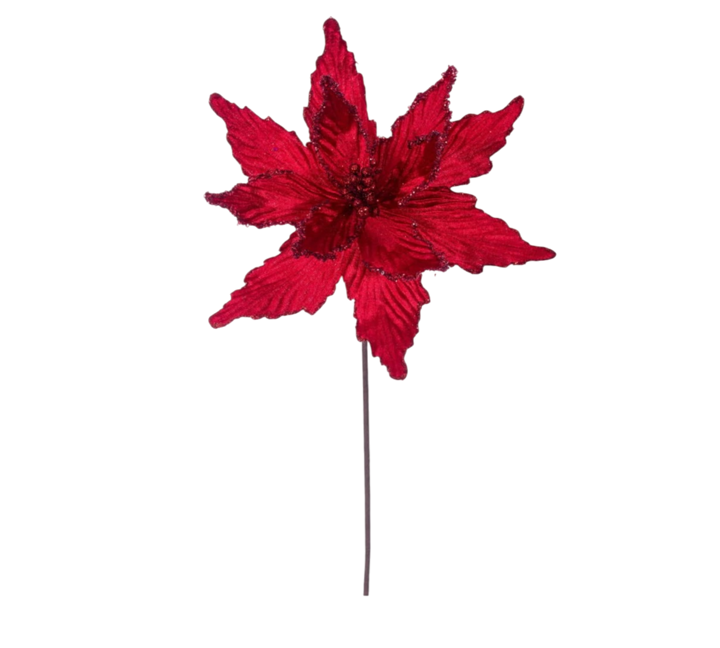 Red Poinsettia - The Sandy Santa