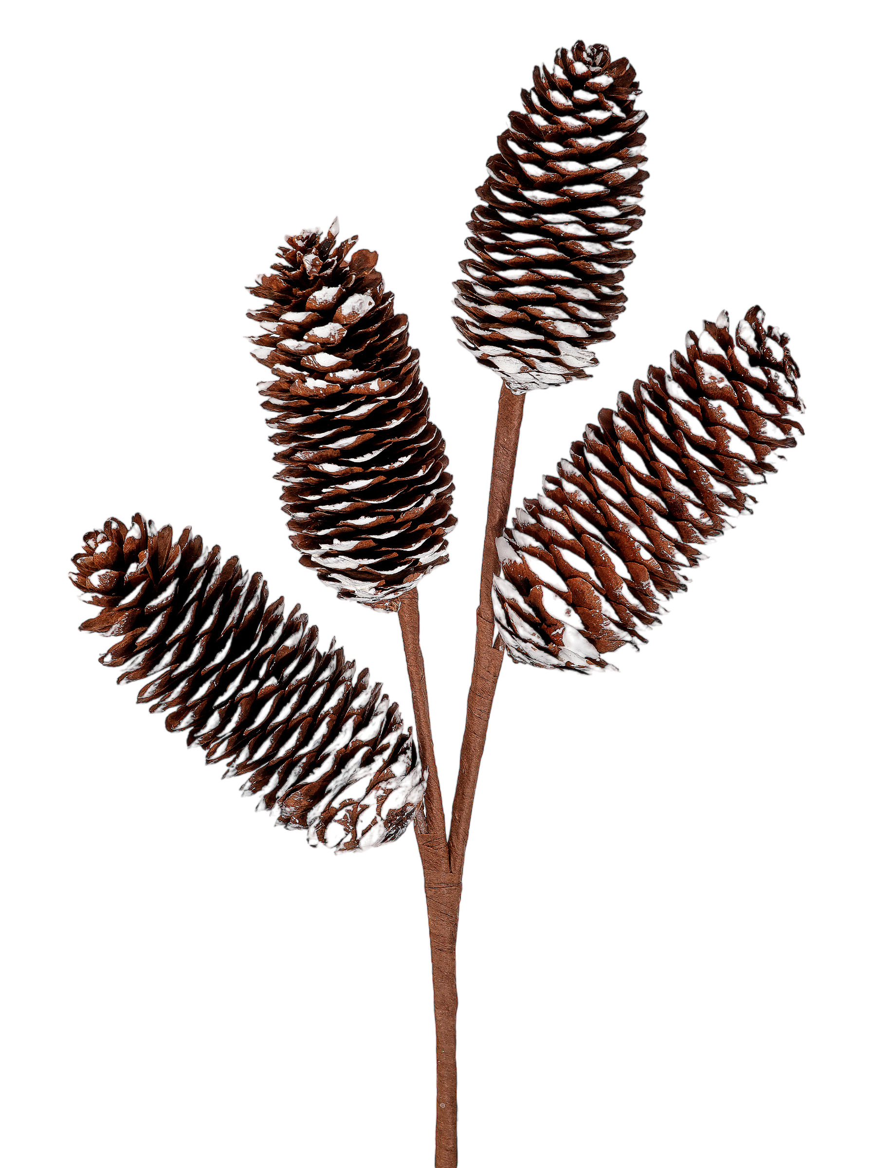 Winter Pinecone Spray - The Sandy Santa