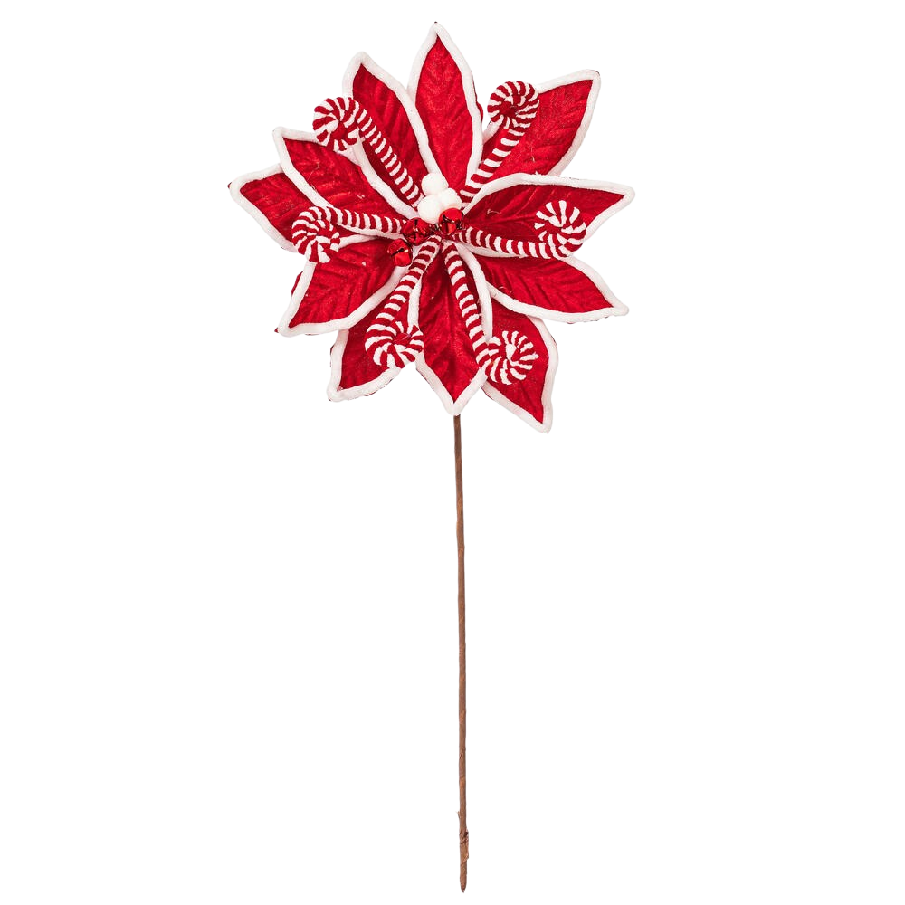 Red Candy Cane Poinsettia - The Sandy Santa