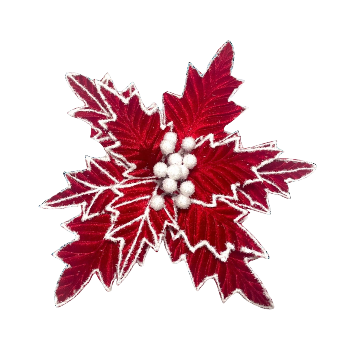Red w/White Trim Poinsettia - The Sandy Santa