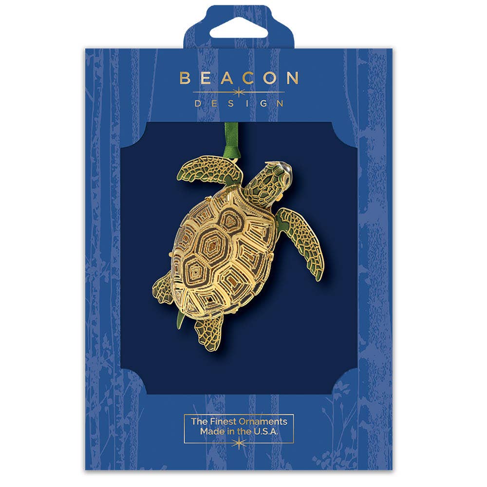 Sea Turtle 3D - The Sandy Santa