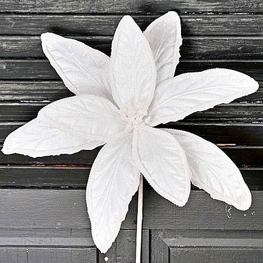 Jumbo Snowy Poinsettia - The Sandy Santa