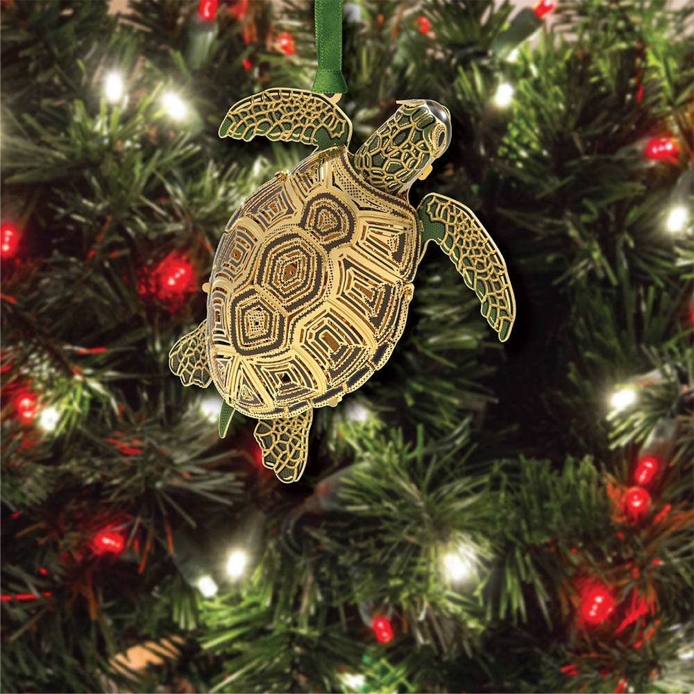 Sea Turtle 3D - The Sandy Santa