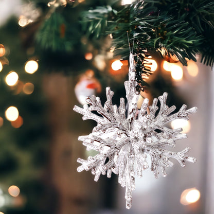 Frosted 3-D Snowflake Ornament - The Sandy Santa