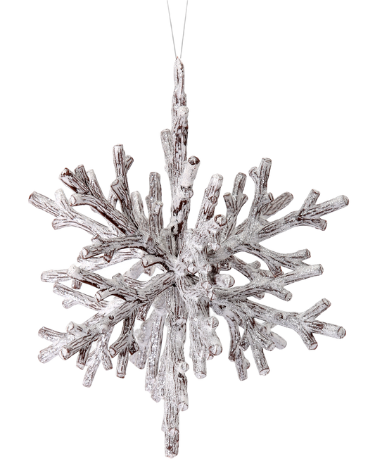 Frosted 3-D Snowflake Ornament - The Sandy Santa