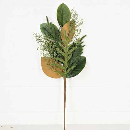 Magnolia Leaves, Norfolk, Cedar Pine Spray