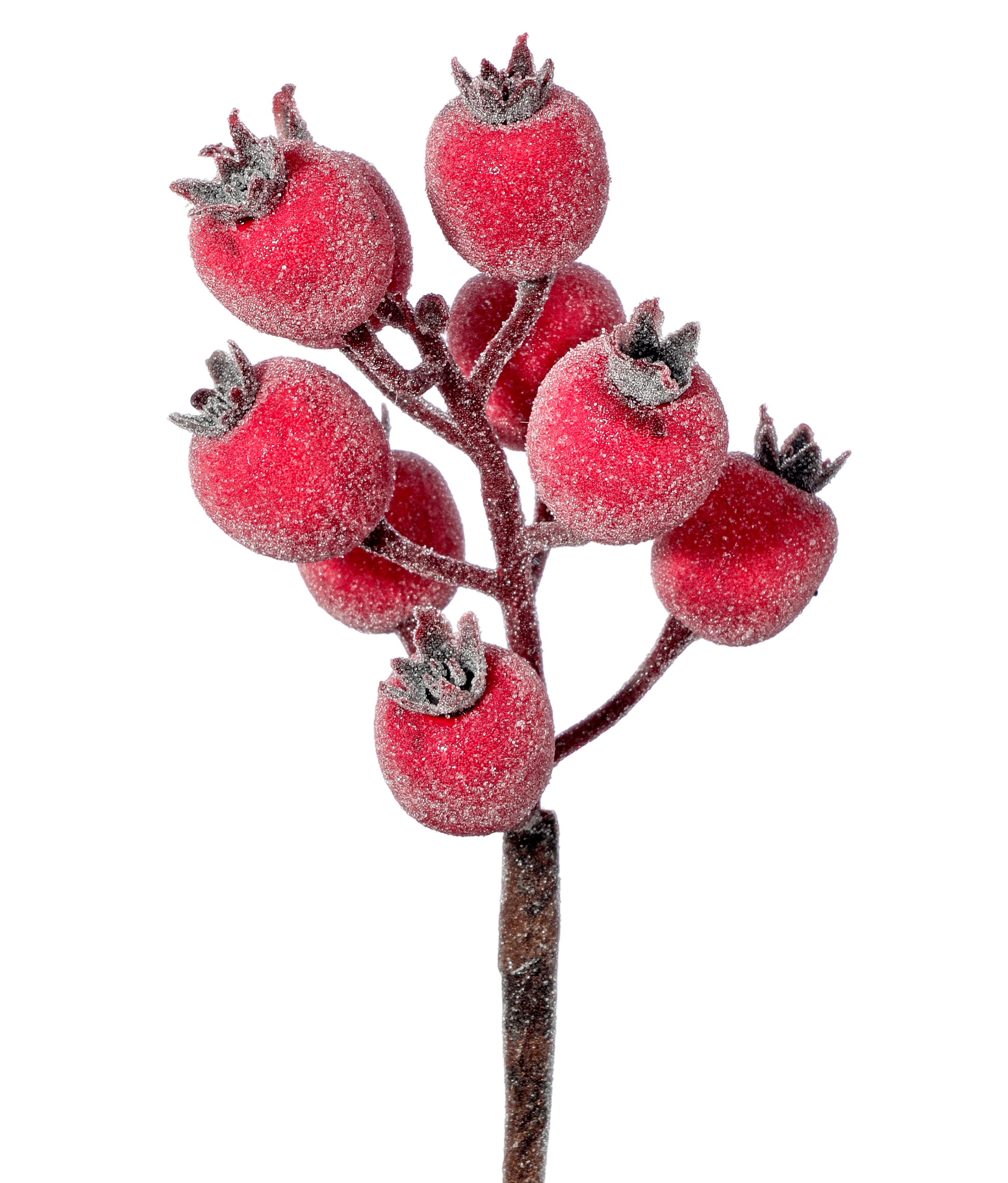 Frosted Beaded Crabapple Pick - NEW - The Sandy Santa