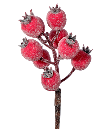 Frosted Beaded Crabapple Pick - NEW - The Sandy Santa