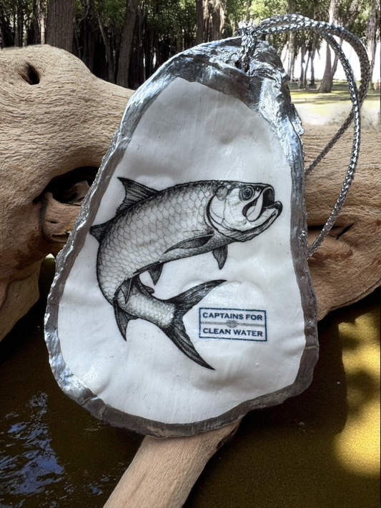 Captains For Clean Water - Tarpon Oyster Shell ornament - The Sandy Santa
