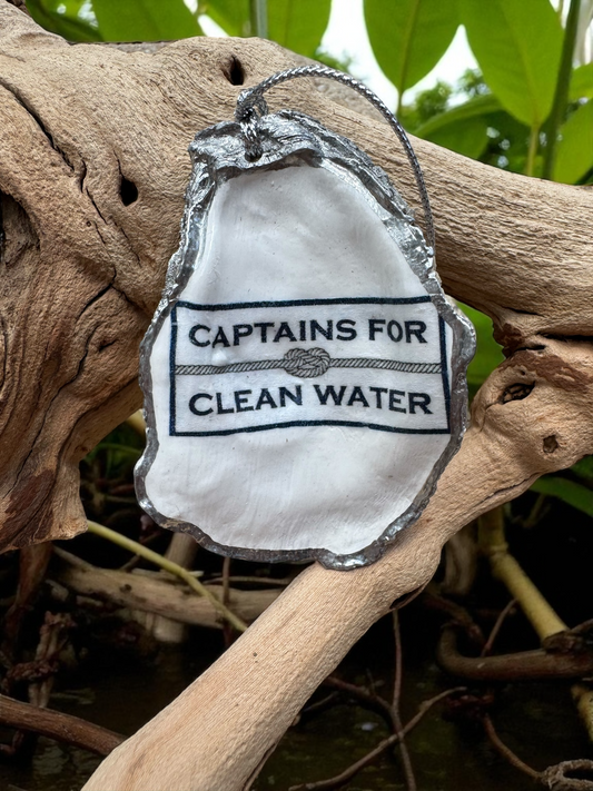 Captains For Clean Water - Oyster Shell ornament - The Sandy Santa