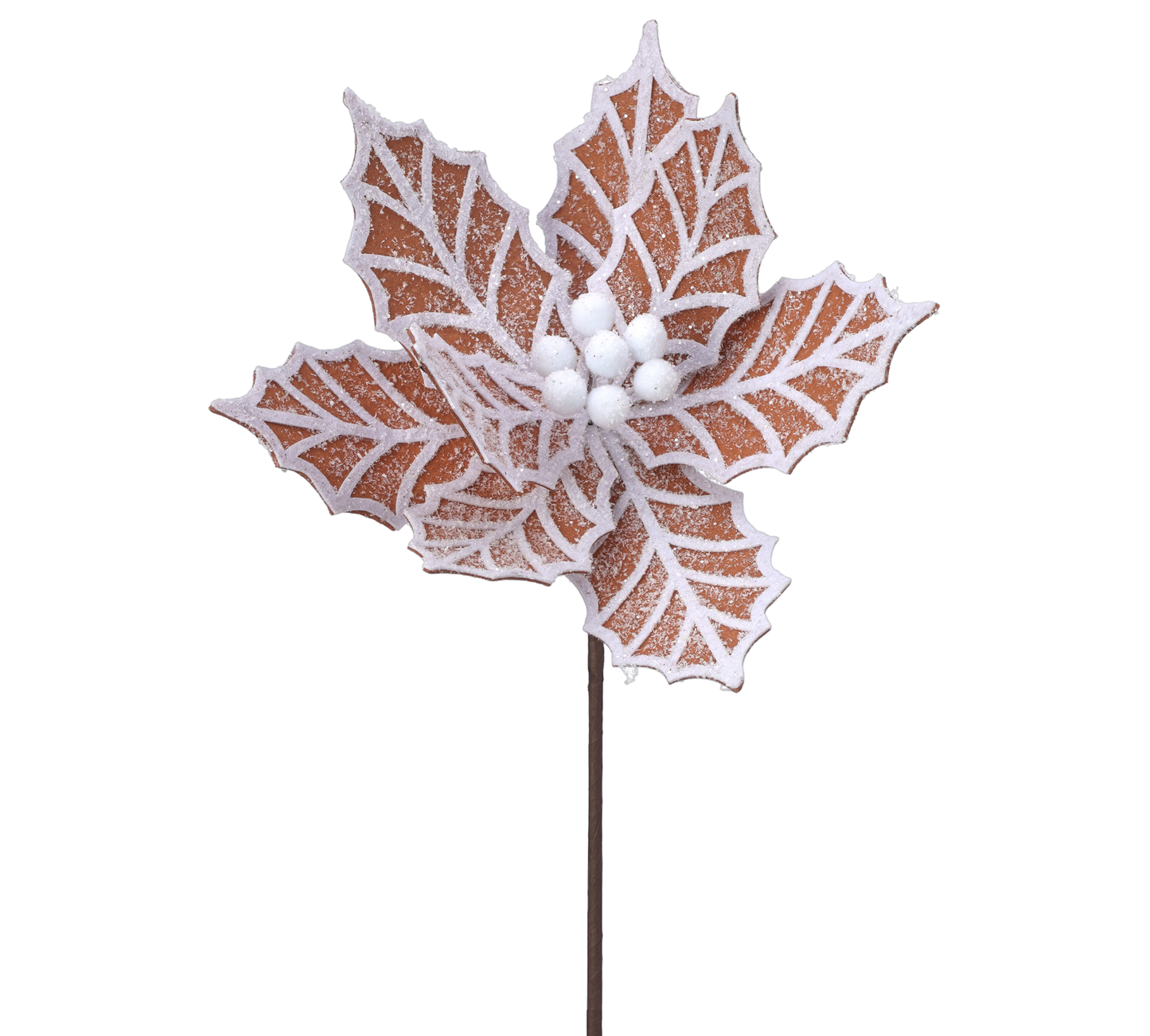 Brown Gingerbread Poinsettia