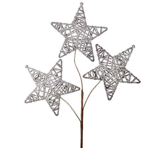 Frosted Triple Twig Star Spray