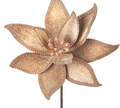 Champagne Jeweled Edge Poinsettia Stem