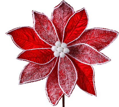 Frosted Red Velvet Poinsettia