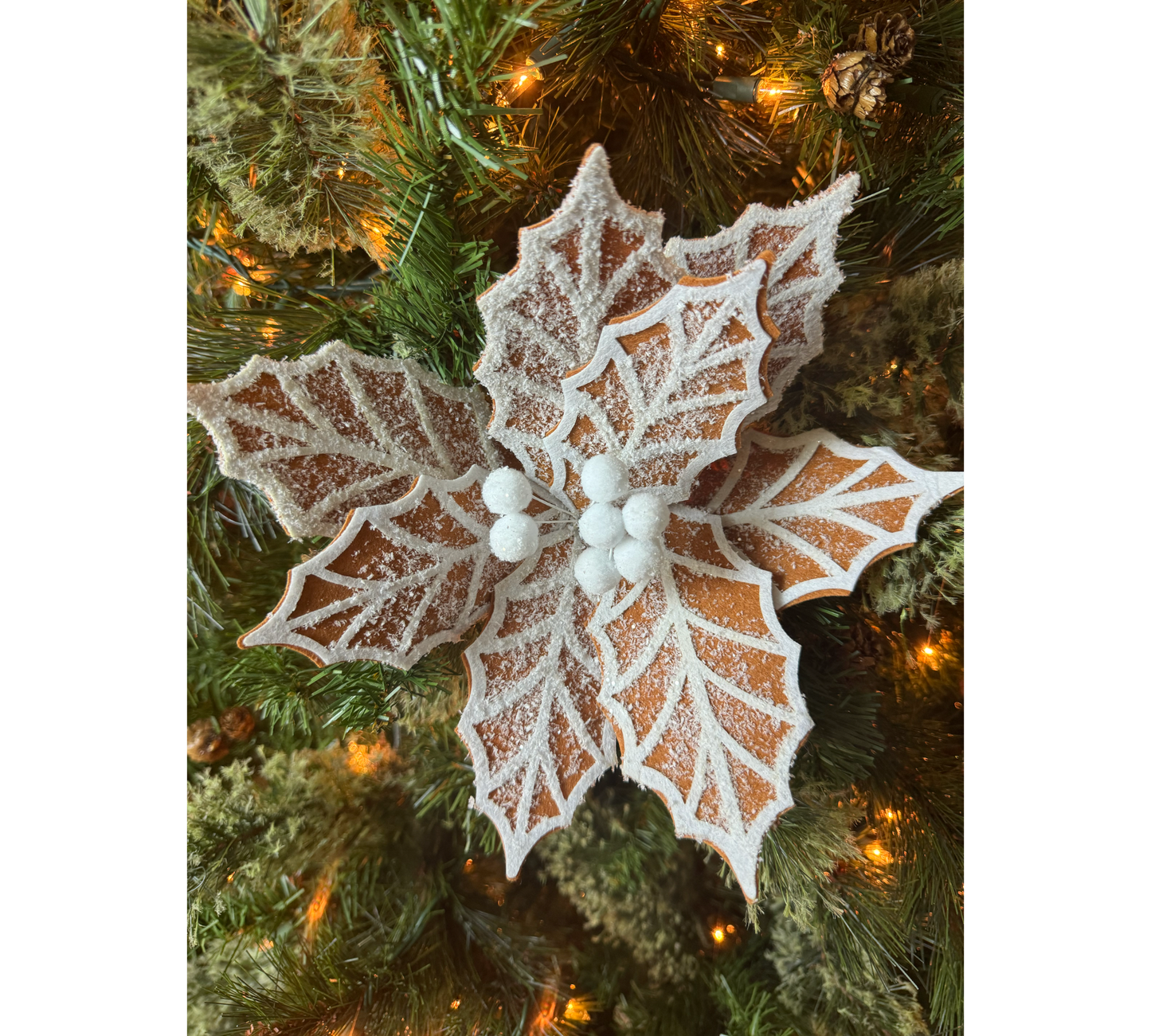 Brown Gingerbread Poinsettia