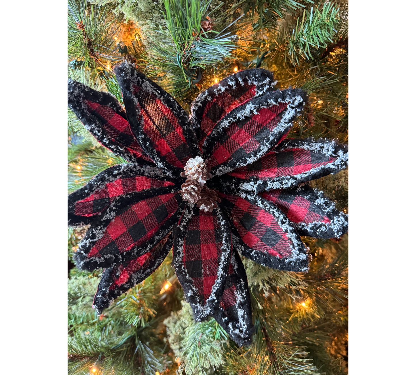 Wool Edged Plaid Poinsettia