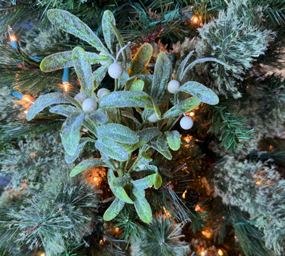 Frosted Mistletoe Berry Pick