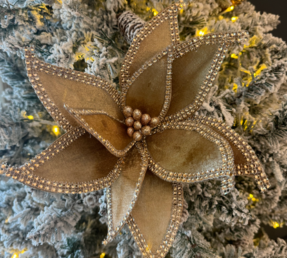 Champagne Jeweled Edge Poinsettia Stem