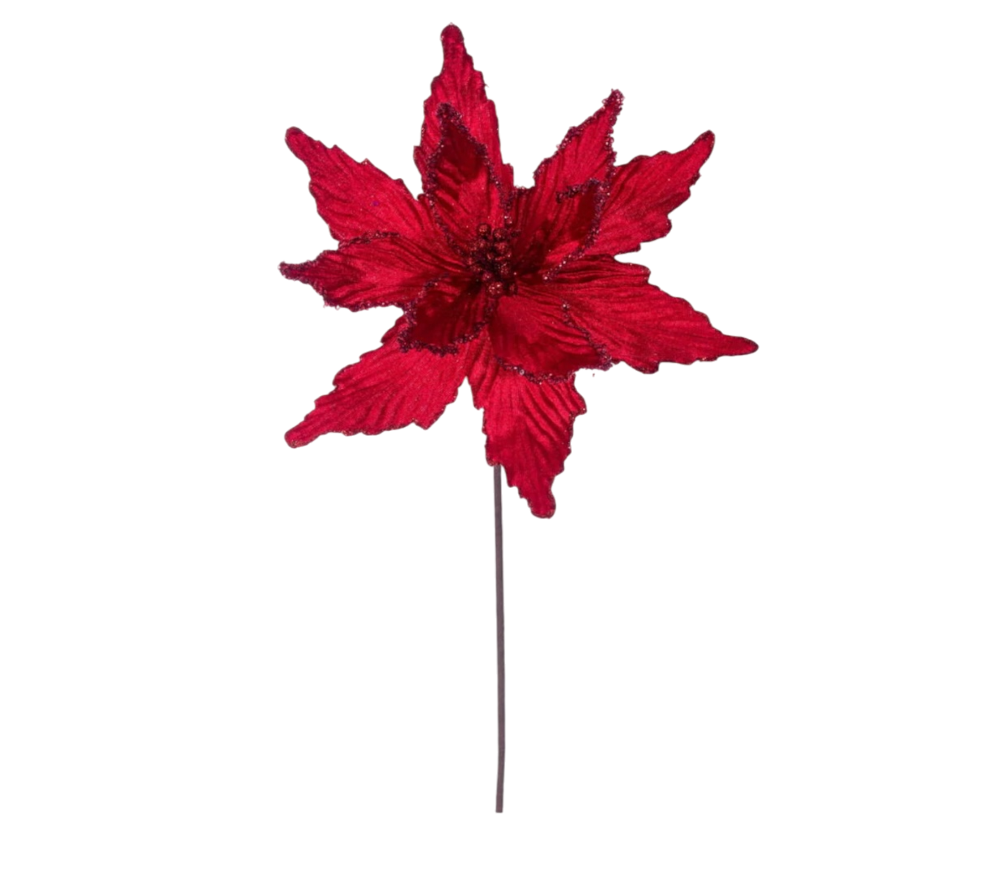 Red Poinsettia - The Sandy Santa