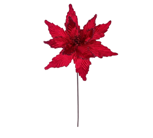 Red Poinsettia - The Sandy Santa