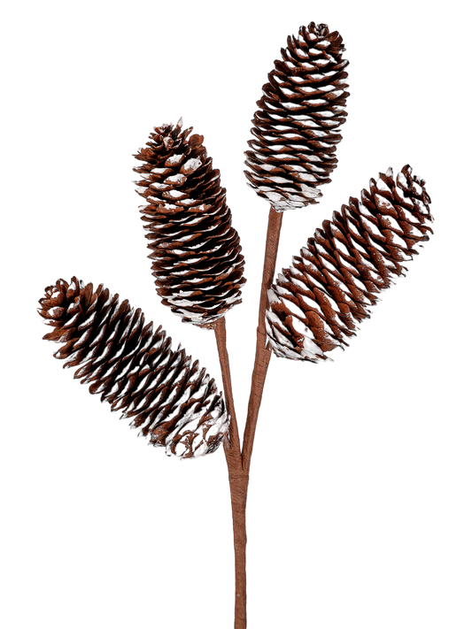 Winter Pinecone Spray - The Sandy Santa