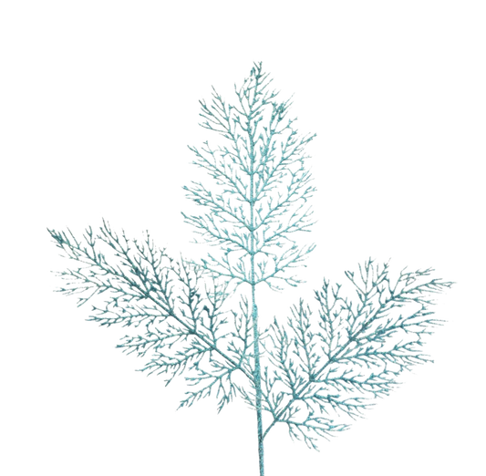 Light Aqua Glittered Cedar Spray - The Sandy Santa
