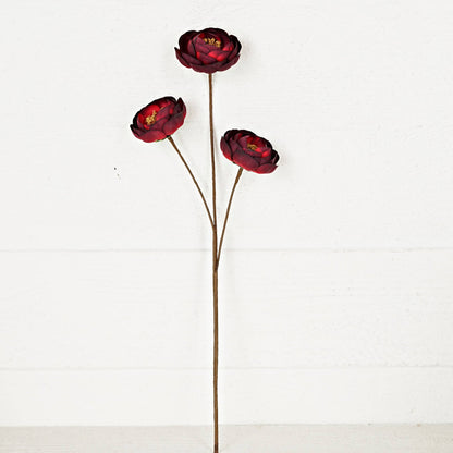 18in Burgundy Ranunculous Spray