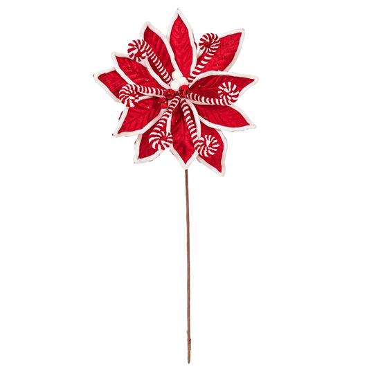 Red Candy Cane Poinsettia - The Sandy Santa