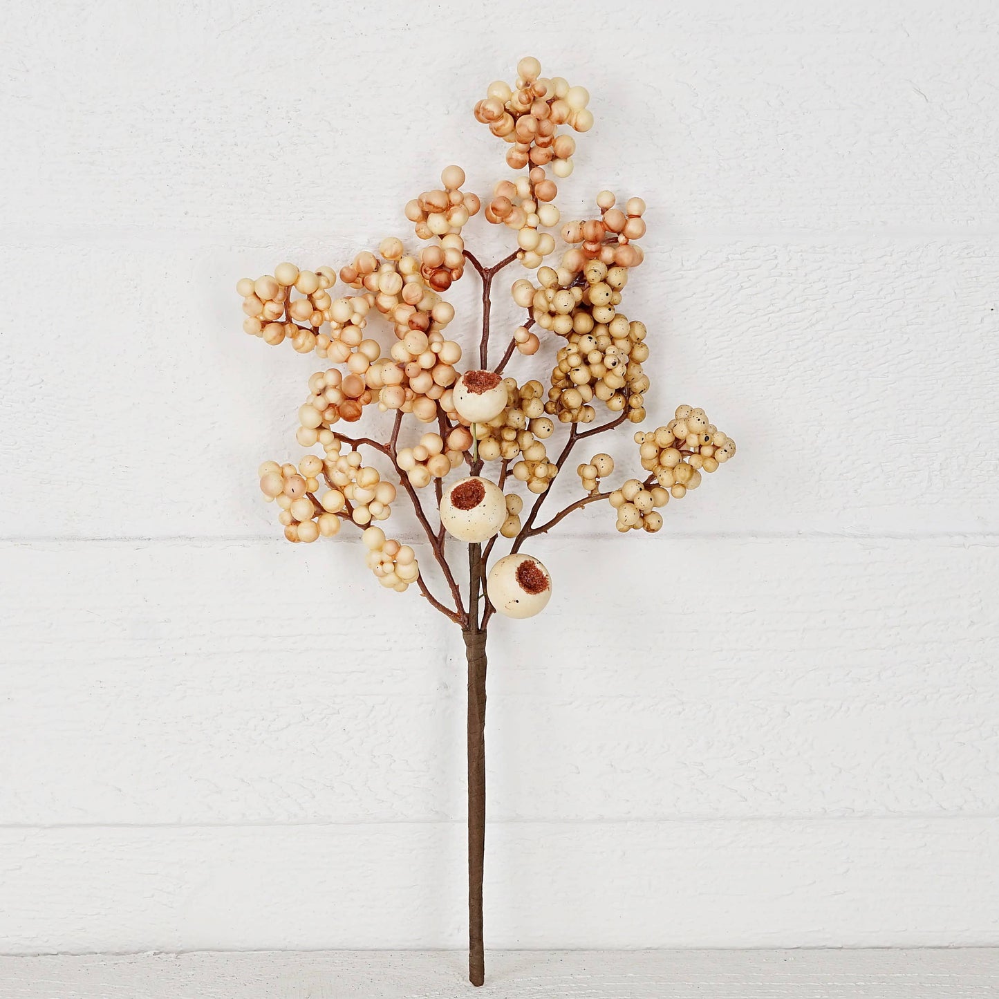 Beige Cream Pepper/Pod Berries